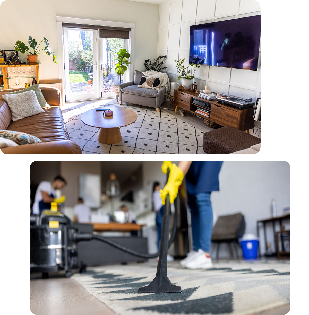 Clean modern living room and carpet cleaning.